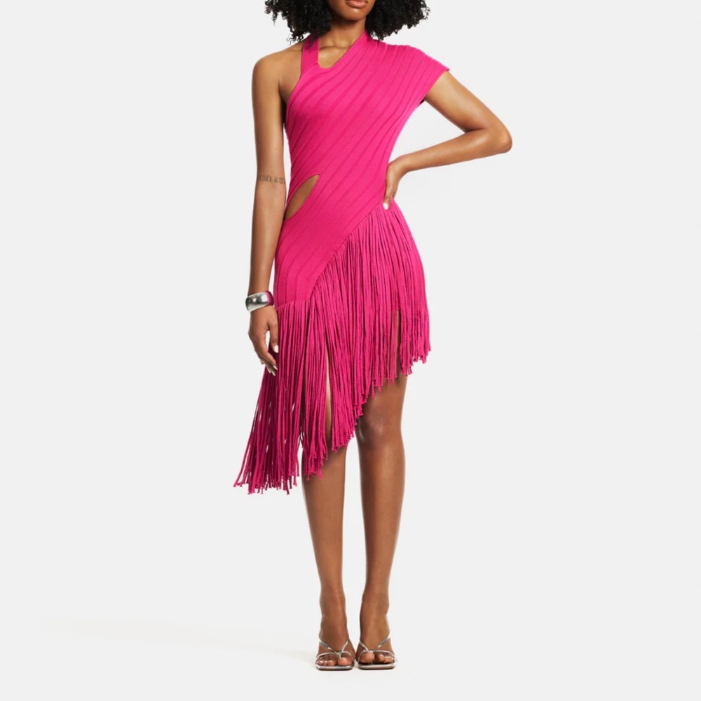 Hanifa Vibrant Pink Asymmetrical Fringe Dress